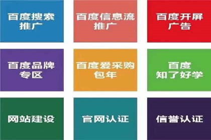 某电商平台SEM竞价广告的转化率提升案例